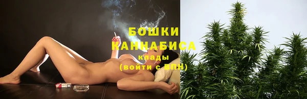 винт Осинники