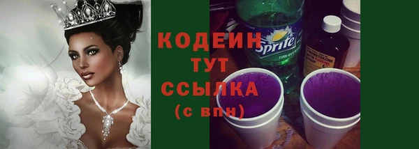 молекула духа Осташков