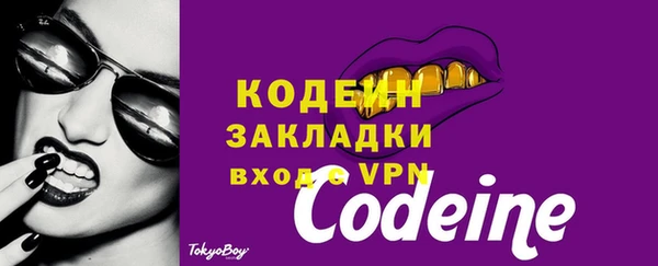 молекула духа Осташков