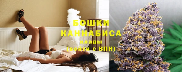 ешки Пересвет