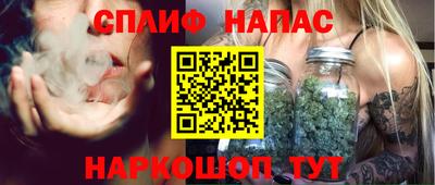 спайс Гагарин