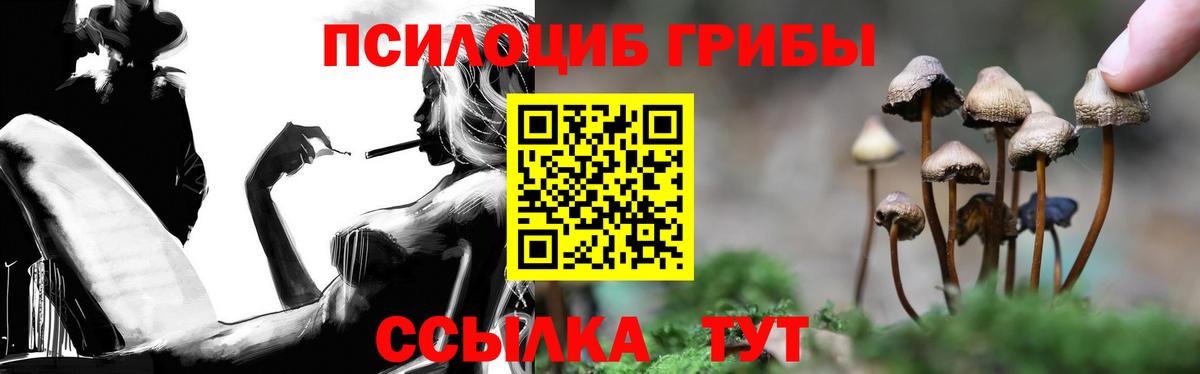 Галлюциногенные грибы MAGIC MUSHROOMS  Коммунар  Псилоцибиновые грибы прущие грибы 