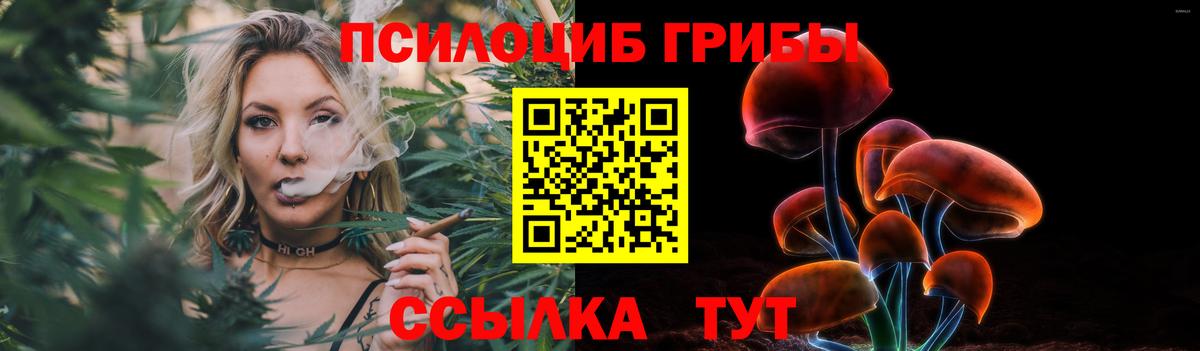 Псилоцибиновые грибы прущие грибы  Вход с VPN  Коммунар 